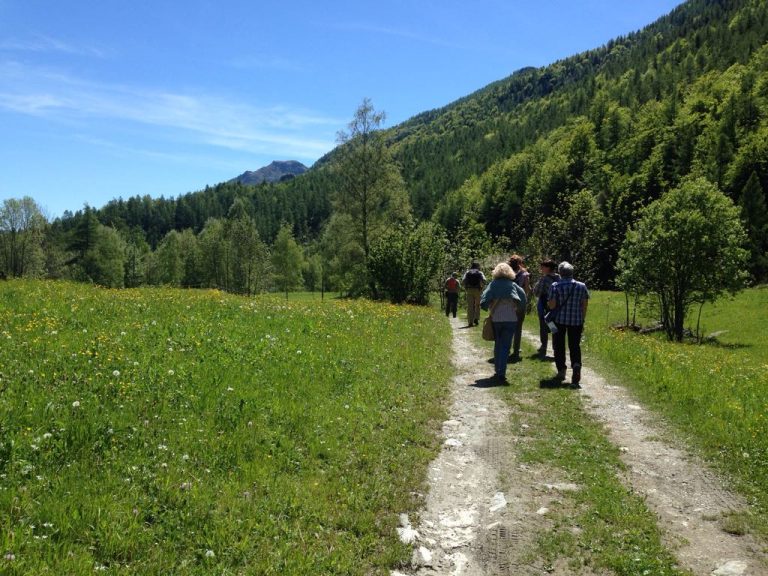 Turismo nelle Valli di Lanzo | Camminata insieme alle joelette sul