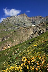 Anello del Colle Battaglia
