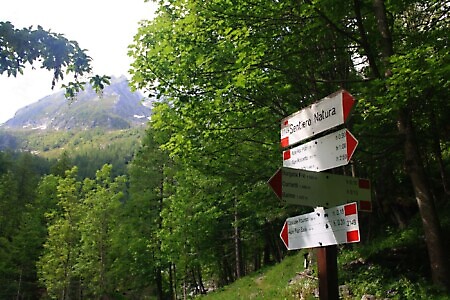 Sentiero delle Peonie e Alpe del Colletto