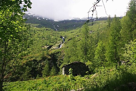 Sentiero delle Peonie e Alpe del Colletto