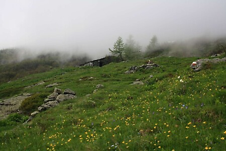 Sentiero delle Peonie e Alpe del Colletto