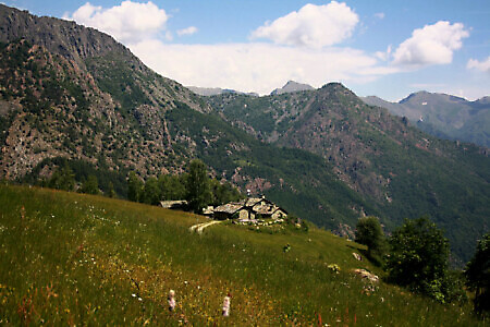 Pian Belfé