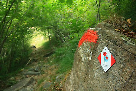 Anello Molar del Lupo-San Vito-Richiaglio