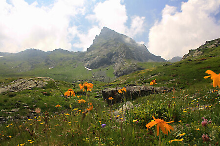 Rifugio Gastaldi