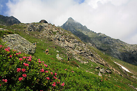 Rifugio Gastaldi
