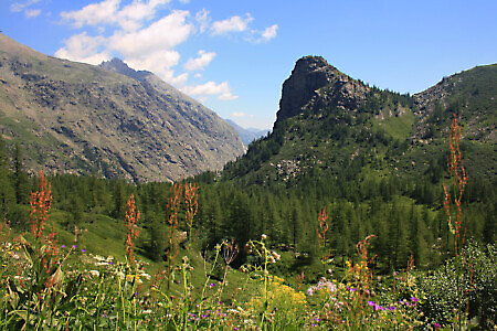 Rocca Tovo