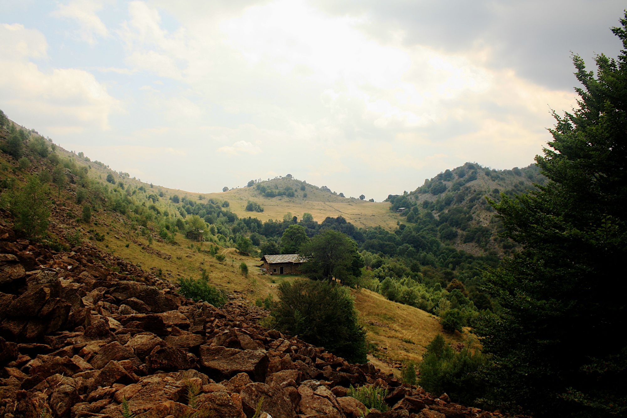 Partisan Trail